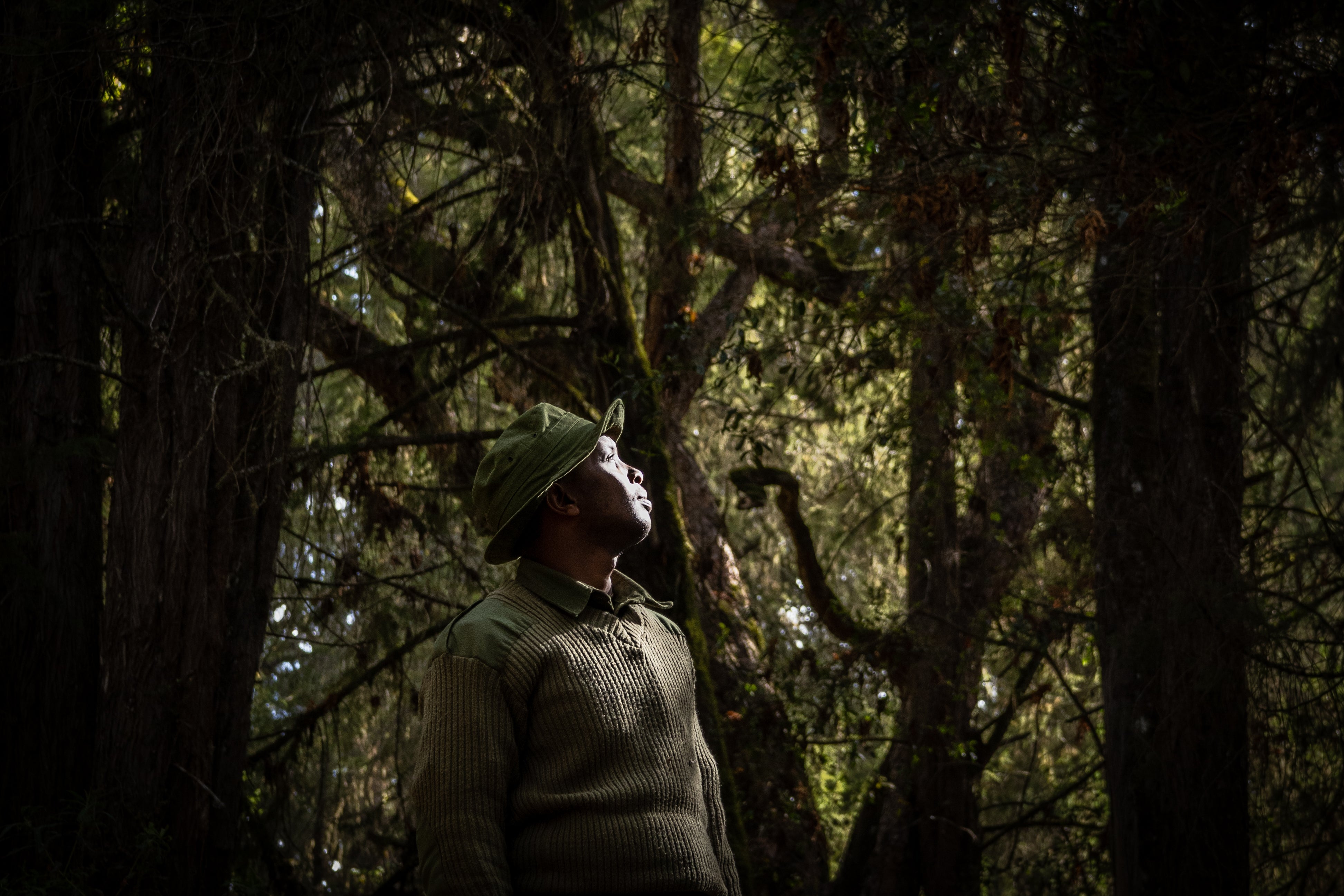 ranger, mount kenya,  donation, conservation 