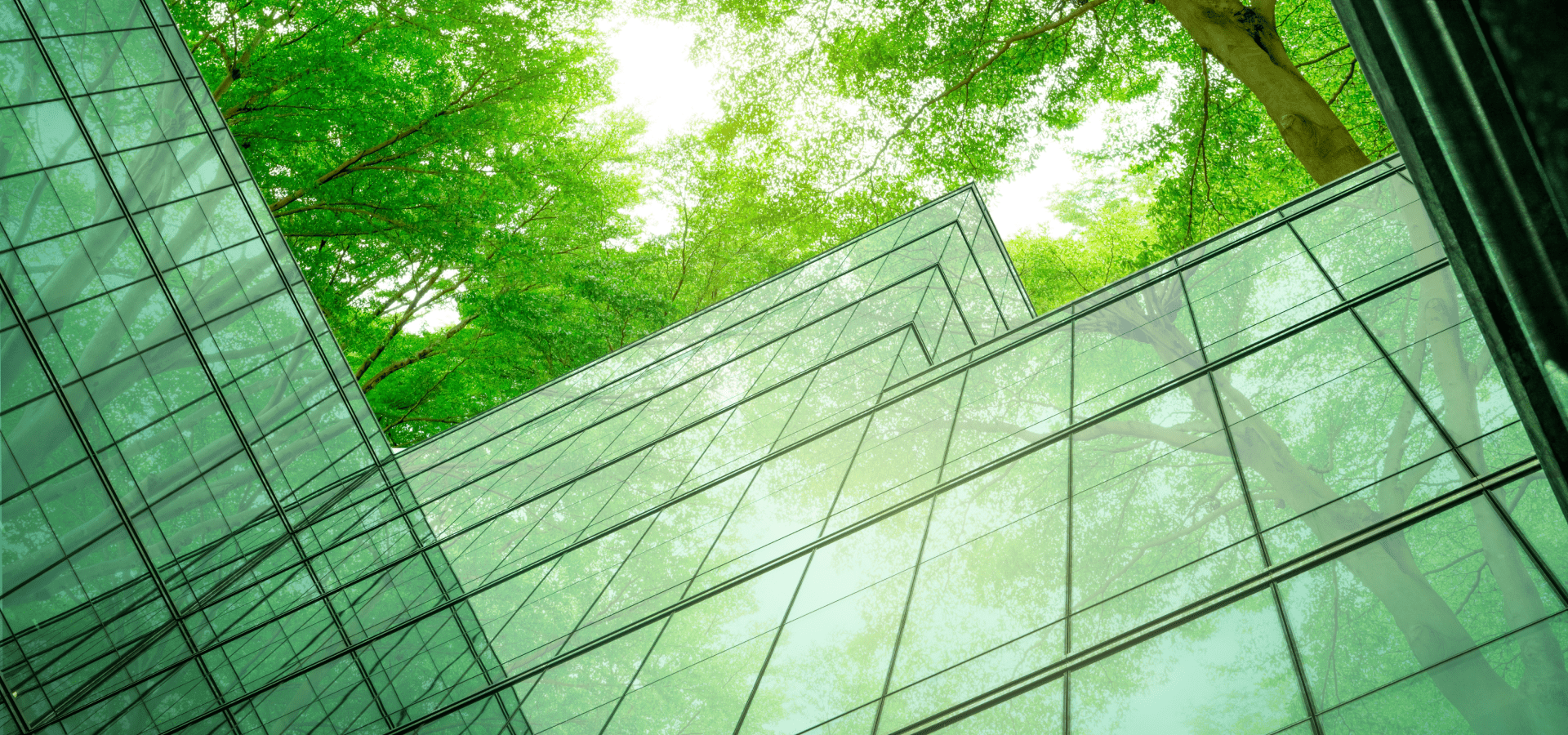 B Corp Certification: Redefining Business as a Force for Good